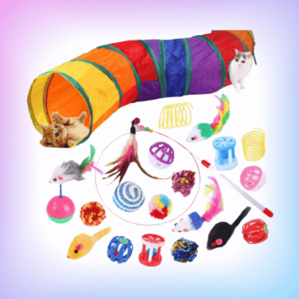 Cat Toys
