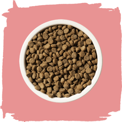Dry-Cat-Food