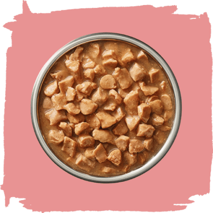 Wet-Cat-Food